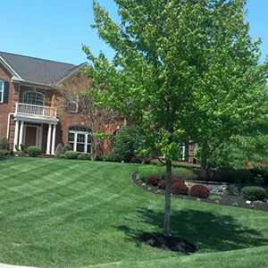 Prince Georges Residential Landscaping
